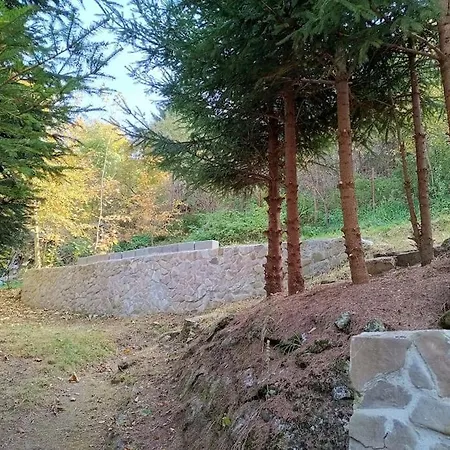 Дом отдыха Casa Iulia Брашов